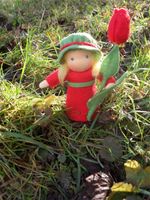 0802184c-tulip5.jpg