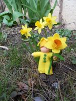 58dcbeca-narcis3.jpg