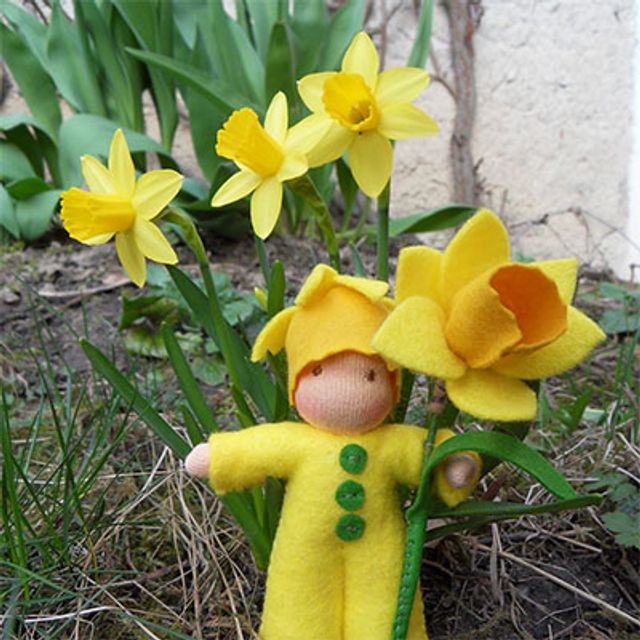 906f539c-narcis0.jpg