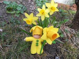 c7853468-narcis2.jpg