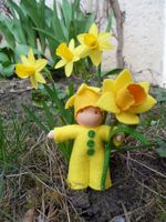 e9601bb5-narcis1.jpg