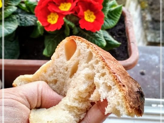 Toustový kváskový chleba