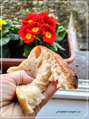 Toustový kváskový chleba