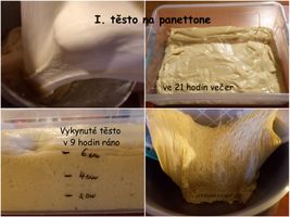 I. těsto na panettone