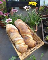 Pečený kořenový chléb z LM