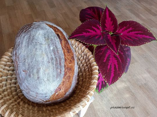 Co se povede 2017 - chleba Kubík