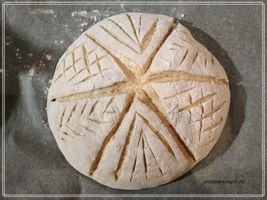 Chleba vykynutý v ošatce, po nařezání a před vložením do trouby