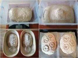 Celozrnný chleba - kynutí a zdobení