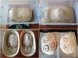 Celozrnný chleba - kynutí a zdobení