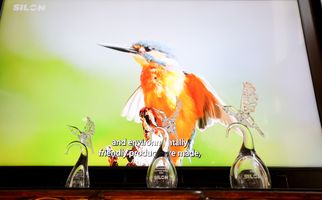 95fc756d-sachy-foto-david-peltan-0317.jpeg