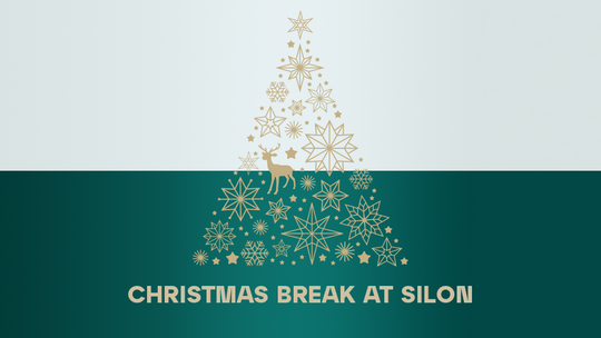 We are on a Christmas break  21 / 12 -  1 / 1