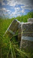 6d825873-photoeditor-20200529-22221389.jpg