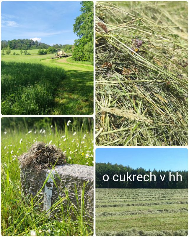 a44bcc97-incollage-20260430-124017756.jpeg