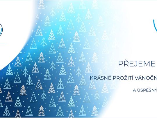 Přejeme všem našim kolegům a obchodním partnerům krásné Vánoce a úspěšný Nový rok 2025