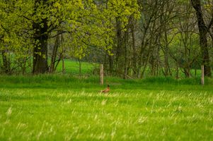 3c89686d-golf-berovice-20230428-053-mhe.jpeg
