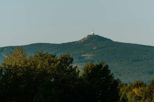 3ca69dbb-golf-ypsilon-czu-20260902-017-mhe.jpeg