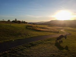 00ae0a05-golf-beroun-20181005-026-msl.jpeg