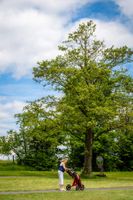 221dfb67-golf-certovobremeno-20250530-037-mhe.jpeg