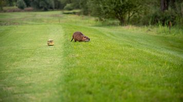 2a6b7bf5-golf-terezin-20190815-080-mhe.jpeg