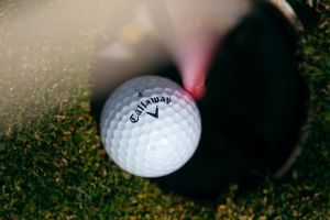 2f790895-golf-podboranky-20190329-013-pha.jpeg