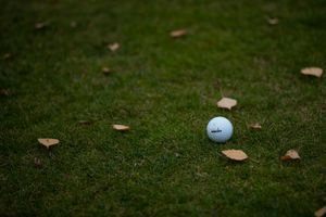 35539dd9-golf-podboranky-20191101-086-mhe.jpeg