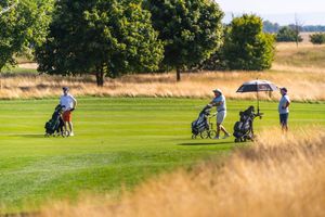 7e356992-golf-albatross-20250813-084-kpa.jpeg