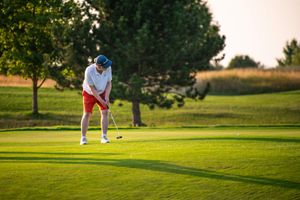 4072b1b9-golf-albatross-20250813-150-kpa.jpeg