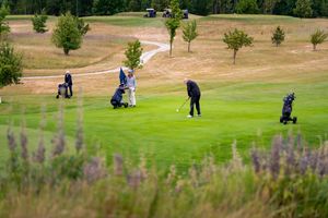 4dd5e115-golf-sokolov-20250711-090-kpa.jpeg
