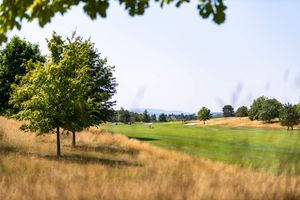 59a49d83-golf-albatross-20250813-018-kpa.jpeg