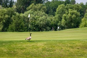 8cd18f8e-golf-berovice-20240619-100-mhe.jpeg