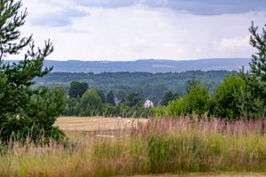 8e5b2de3-golf-sokolov-20250711-077-kpa.jpeg