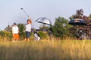 8ee4a946-golf-albatross-20250813-142-kpa.jpeg