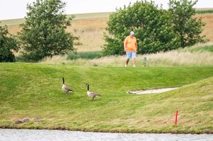 9d4bbbd4-golf-berovice-20240619-147-mhe.jpeg