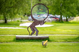 ca3af8c9-golf-certovobremeno-20250530-025-mhe.jpeg