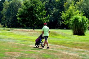 b23aba07-golf-hluboka-20180727-040-jsp.jpeg