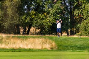 b532f8ba-golf-albatross-20250813-091-kpa.jpeg
