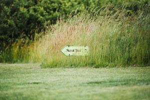 b5f94453-golf-benatky-20230614-223-vvo.jpeg