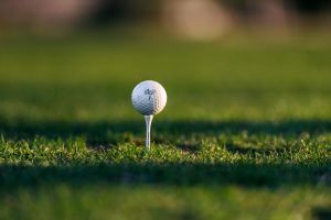 b99dbf0d-golf-lisnice-20180406-239-pha.jpeg