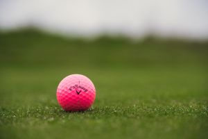 d71017fd-golf-zbraslav-20171110-080-pha.jpeg