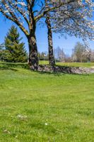 d7e505c4-golf-certovobremeno-20260424-078-msl.jpeg