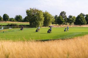e4c26ee7-golf-albatross-20250813-085-kpa.jpeg
