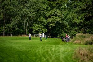 ff66c267-golf-ypsilon-czu-20260902-115-mhe.jpeg