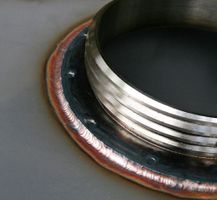 84c13ab8-tig.jpg