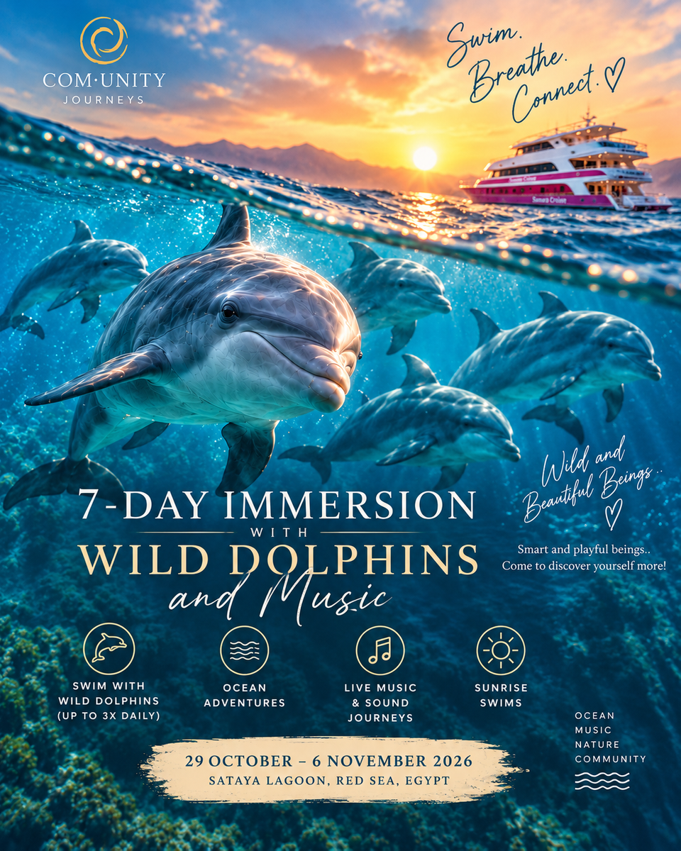 19a147c9-red-sea-immersion.png