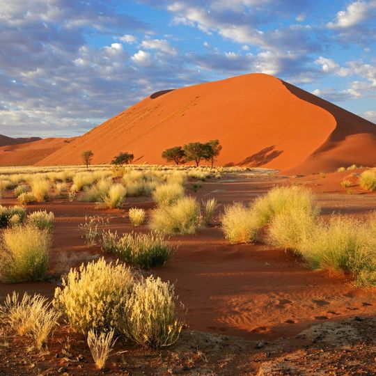 CESTA DO NAMIBIE